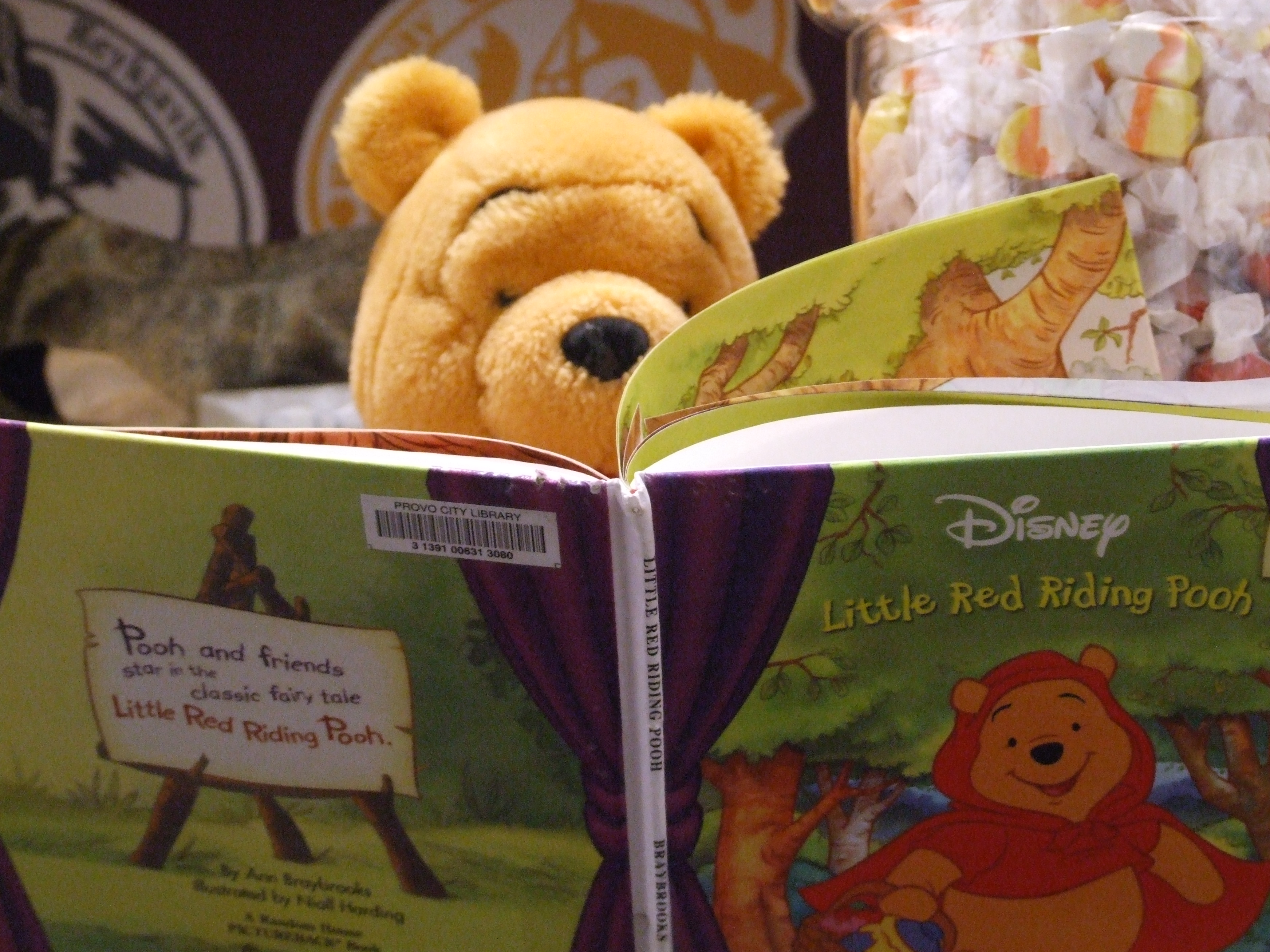 Reading Bear